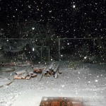 February Snow – Leslie Yoder